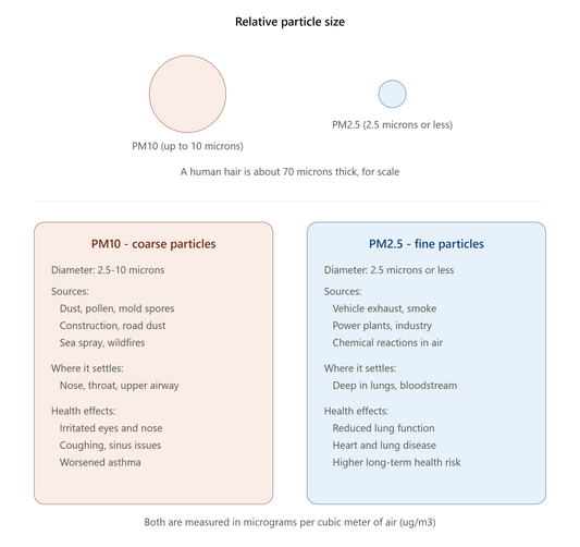 PM2.5 vs. PM10: What Kind of Respirator Mask Do You Actually Need?