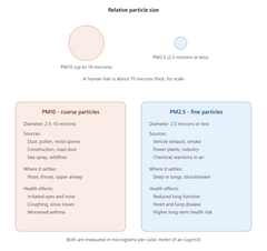 PM2.5 vs. PM10: What Kind of Respirator Mask Do You Actually Need?