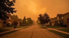 Wildfire smoke? Choose the right PM2.5 mask