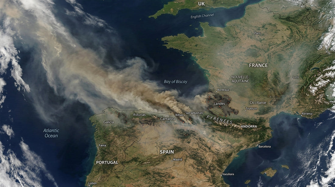 N95 Smoke Masks: Do They Actually Protect You During the Wildfires in France and Spain?