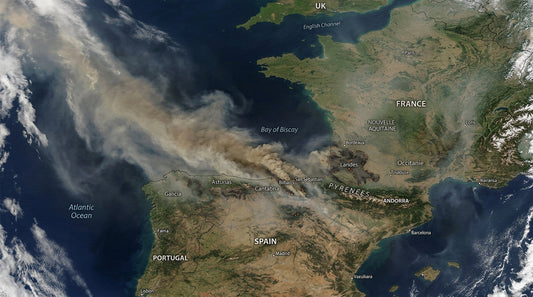 N95 Smoke Masks: Do They Actually Protect You During the Wildfires in France and Spain?